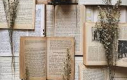 Book Characters